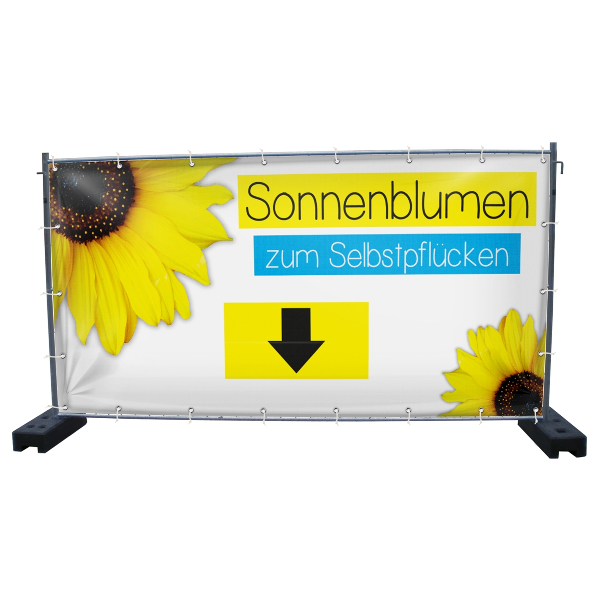 340 x 173 cm | Sonnenblumen Bauzaunbanner (1645)